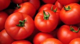 10 Super Allergen-Fighting foods for Spring