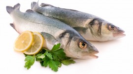 10 Little Known Health Benefits of Eating Fish