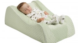 Nap Nanny Maker Shut Down: Refused Voluntary Recall After 5 Deaths