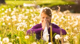 10 Ways you’re Aggravating those Allergies