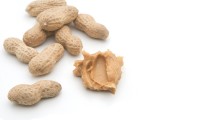 Tainted Peanut Products Sickened 600+ North Americans