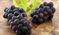 13 Superfoods Kids Love to Eat!