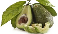 12 Best Foods for Lowering Cholesterol