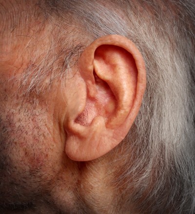 What Are The Foods A Vertigo Person Can Eat What Are The Foods A Vertigo Person Can Eat
