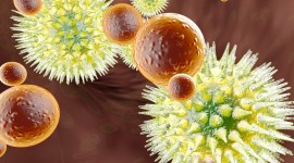 10 Things to Know About White Blood Cell Count