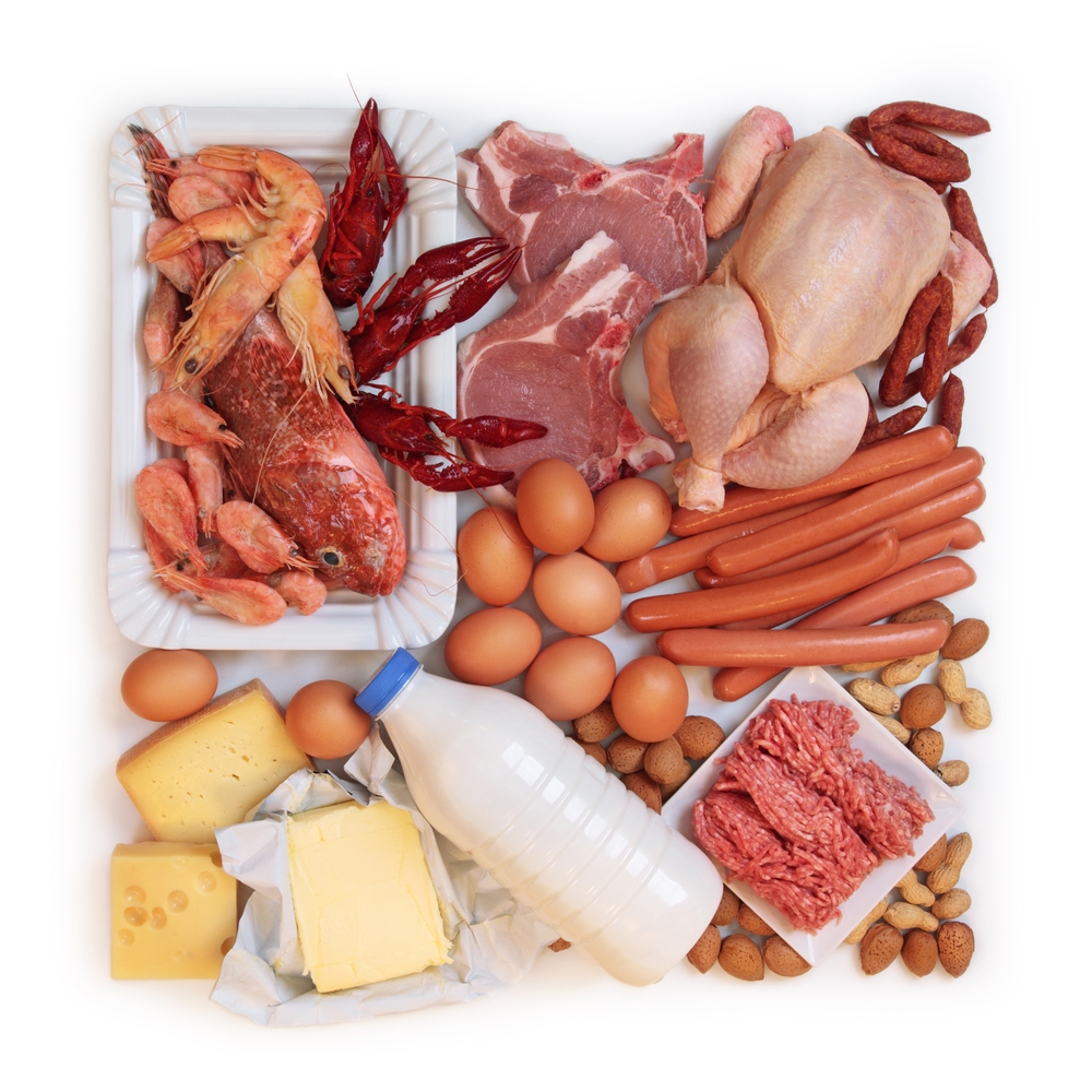 Download this High Protein Diet picture
